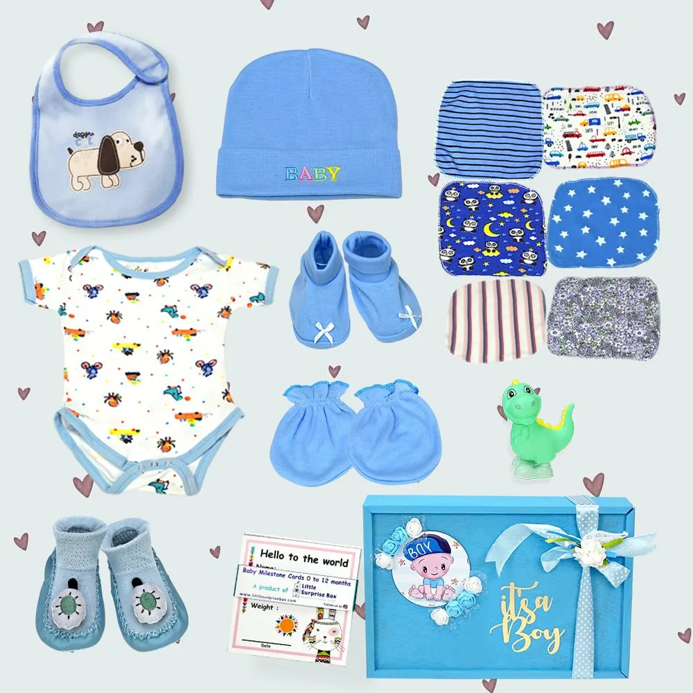 Blue Joy Newborn Hamper