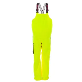 NEW Women's Weather Watch Bib
